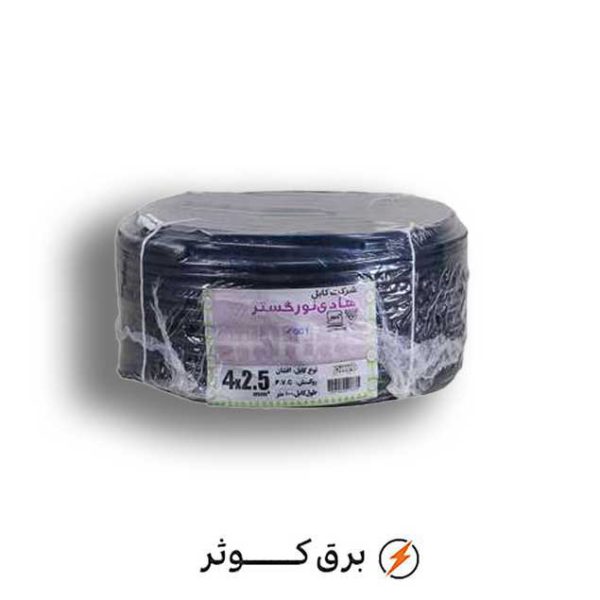 کابل افشان 2.5*4 هادی نور (حلقه)