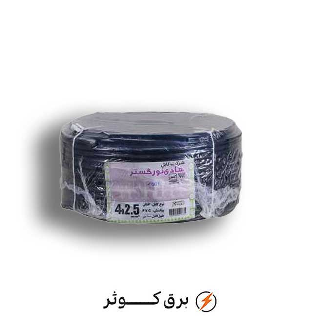 کابل افشان 2.5*4 هادی نور (حلقه)