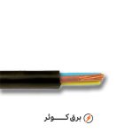 کابل افشان 2.5*3 هادی نور (حلقه)