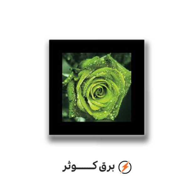 شبخواب گل سبز مانا