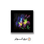 شبخواب گل بنفش مانا